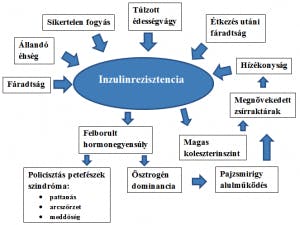 inzulinrezisztencia.png