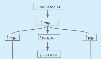 T3, T4 FSH TRH.png