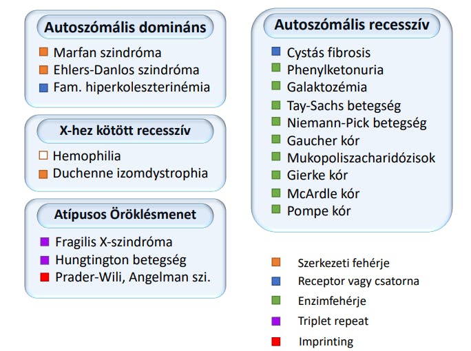 Genetikai betegsegek.png