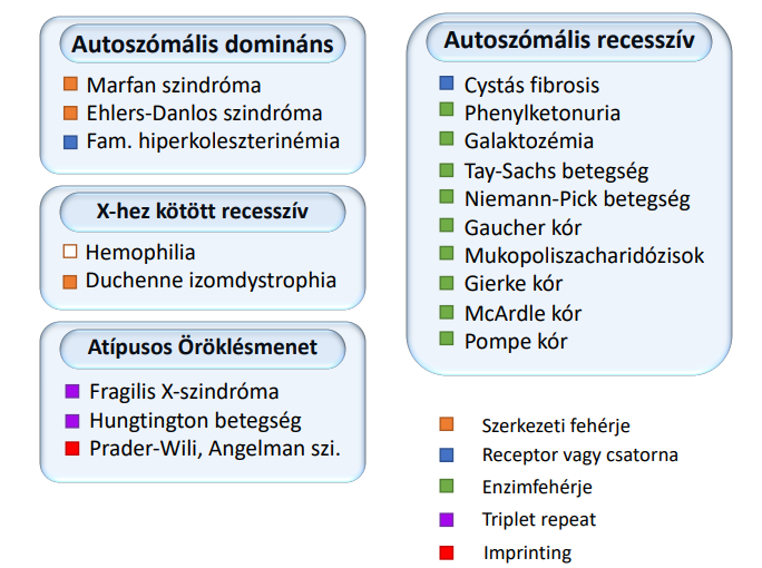 Genetikai betegsegek.png