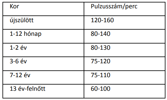 pulzus.png