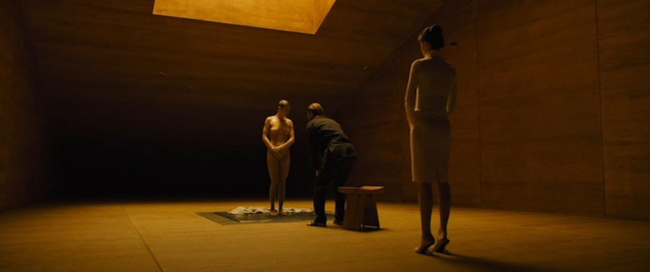 1 - Blade Runner 2049.JPG