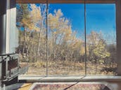 cabin_3903.png
