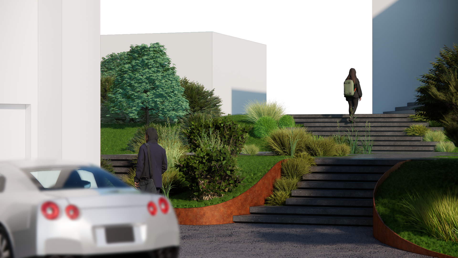 Cam from the Garage _ Dailight _ Processed.png