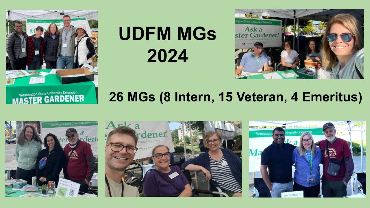 UDFM MG 2024 Post-Season.jpg