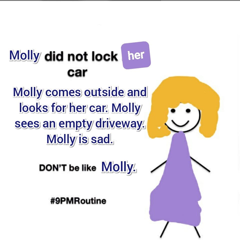 9PM Reminder- Molly Didn't Lock Her Car Photo.jpg