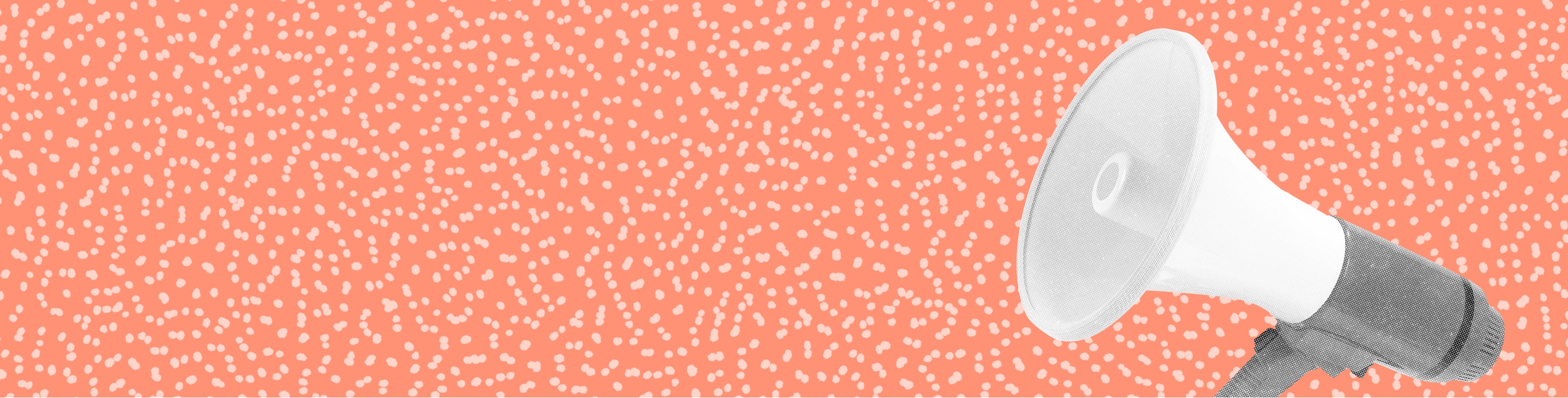 Coda Creator Program