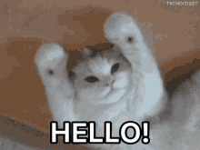 tenor-114248682.gif