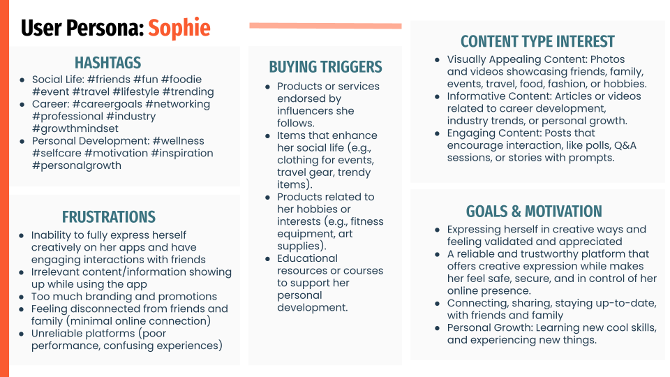 User Persona A 2.png