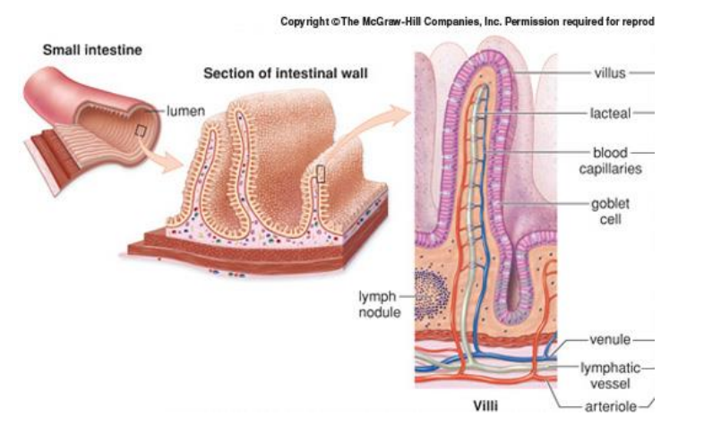 Screen Shot 2024-01-29 at 9.59.07 AM.png