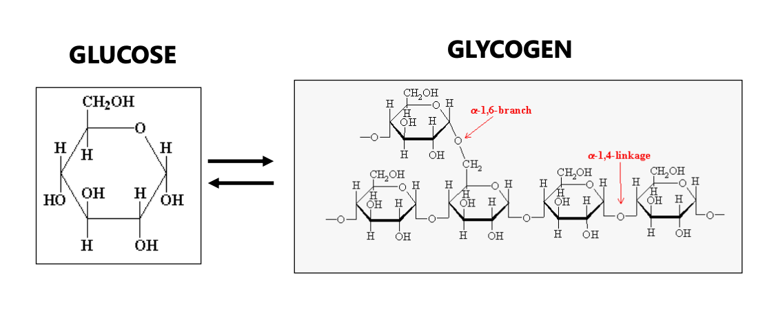Screen Shot 2024-02-09 at 9.19.20 AM.png
