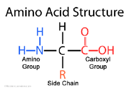 Screen Shot 2024-02-02 at 9.59.17 AM.png