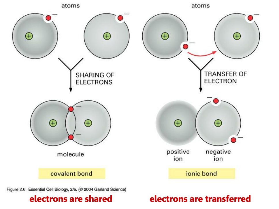 Screen Shot 2024-01-31 at 9.45.48 AM.png