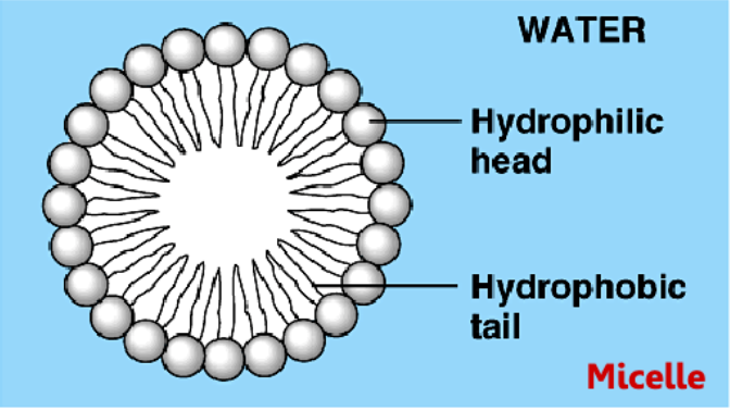 Screen Shot 2024-02-02 at 9.38.33 AM.png