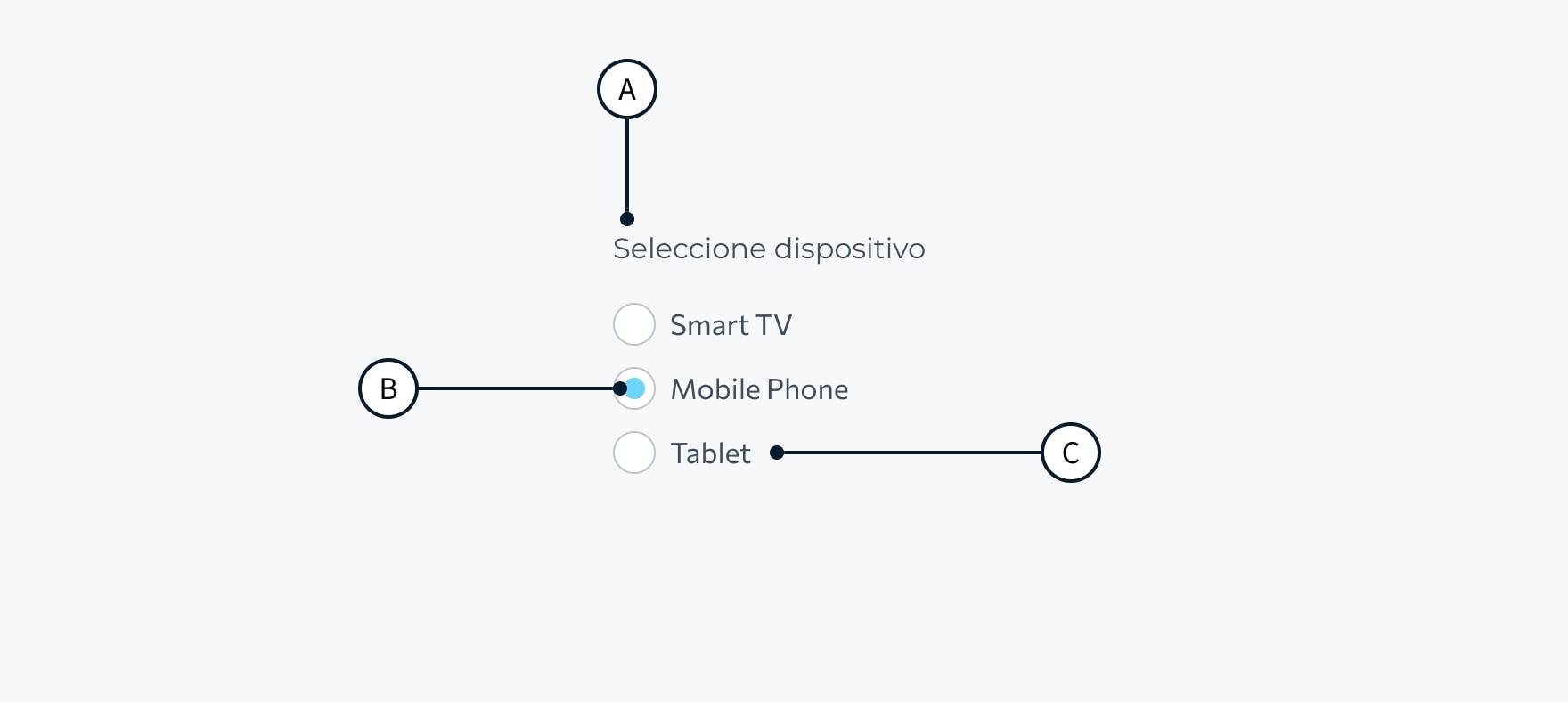 radio button anatomia