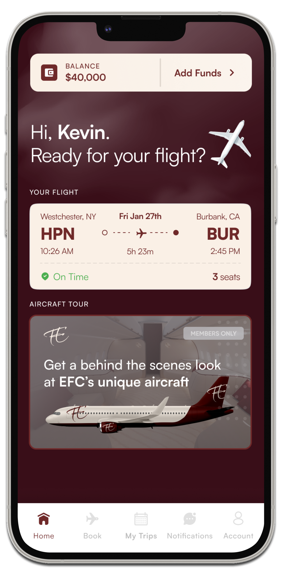 Mock - Flight Tracking (Minimal) - Home Screen (Light).png