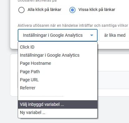bild.png