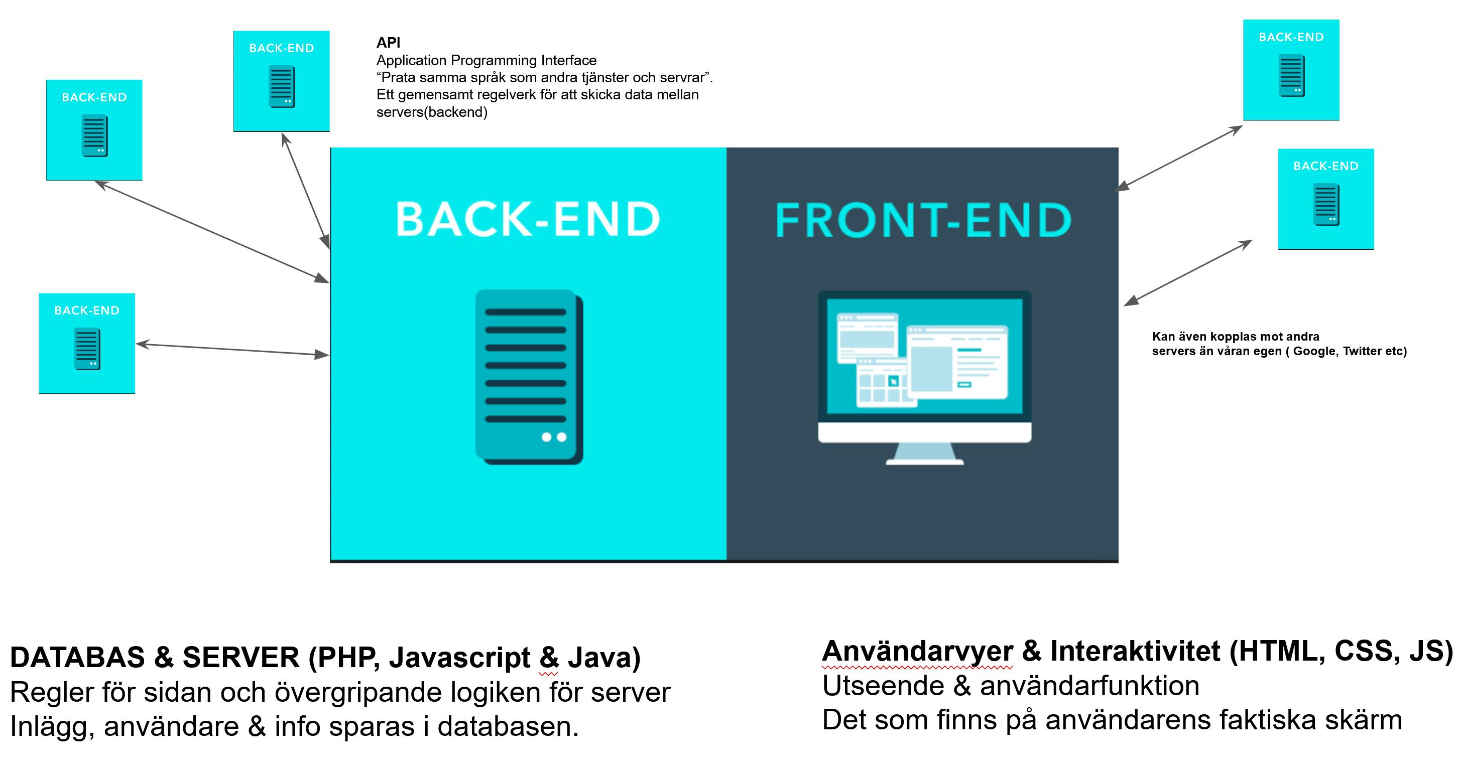 bild.png