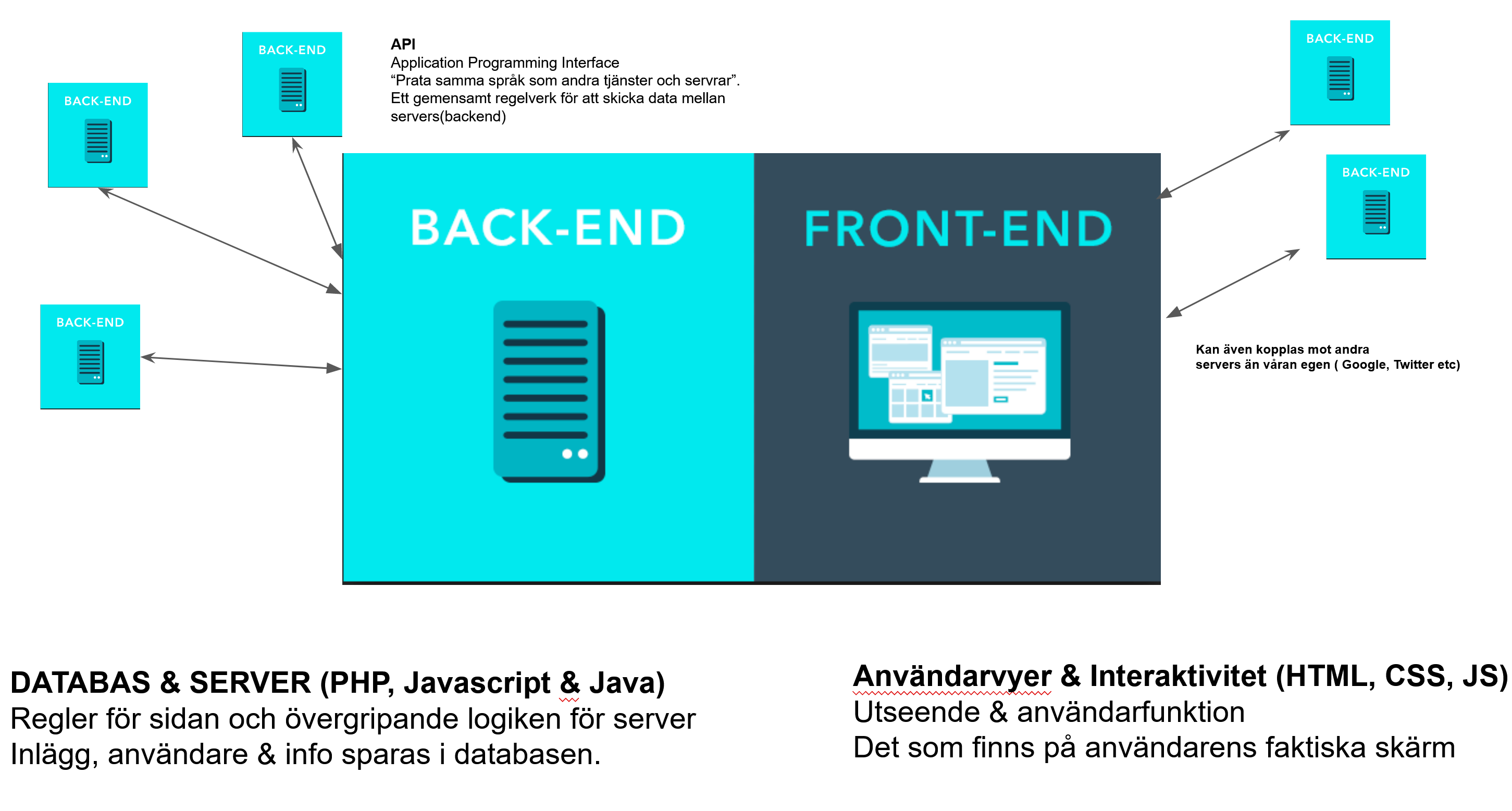 bild.png