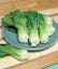 Pak Choi Toy Choi Hybrid.jpeg
