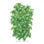 Everleaf Emerald Towers Basil.jpeg