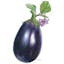 Black Beauty Eggplant BI.jpeg