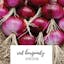 Red Burgundy Onion.jpeg