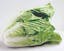 Napa Cabbage.jpeg