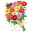 Decorative Double Blend Dahlia.jpeg