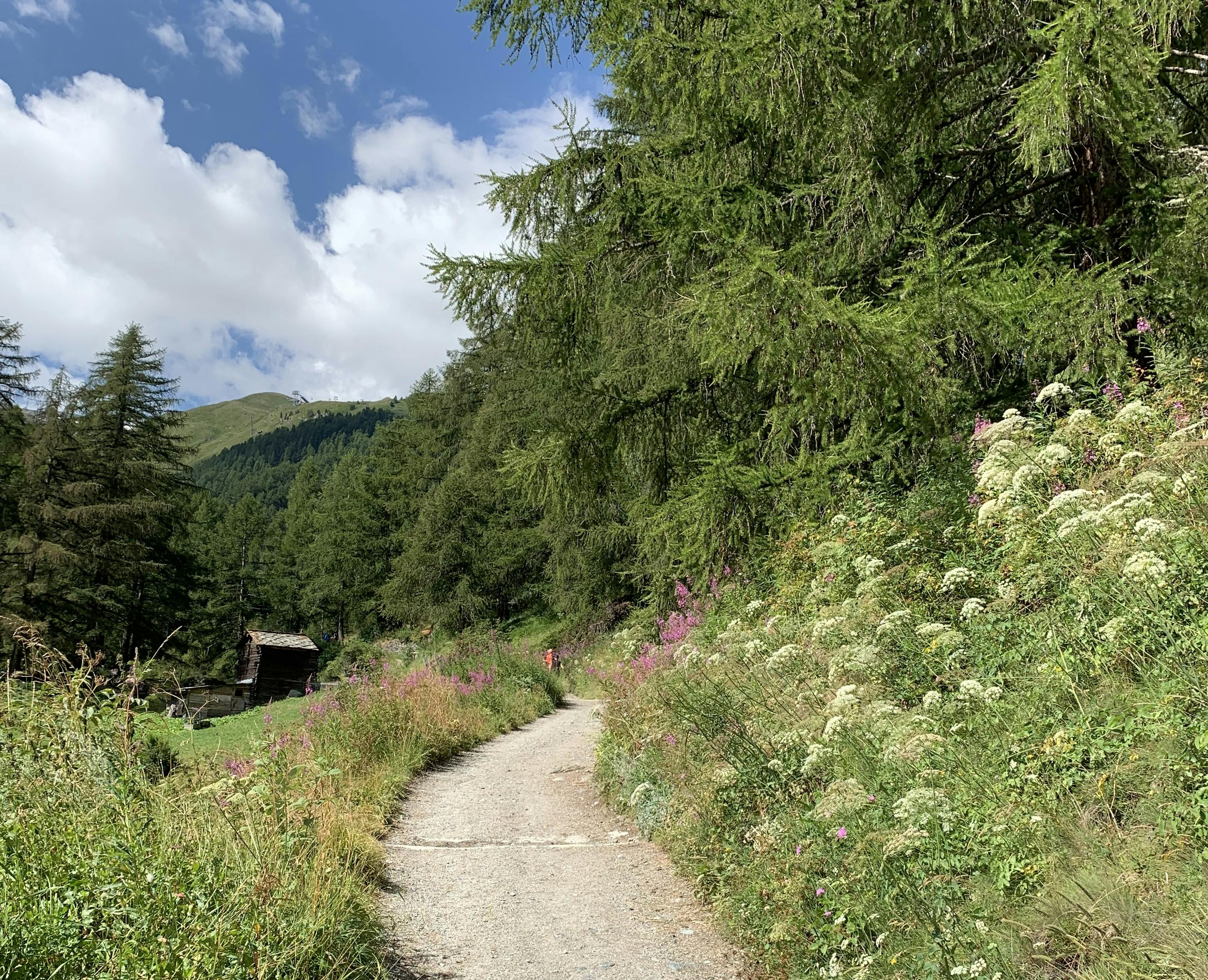 zermatt crop.jpg