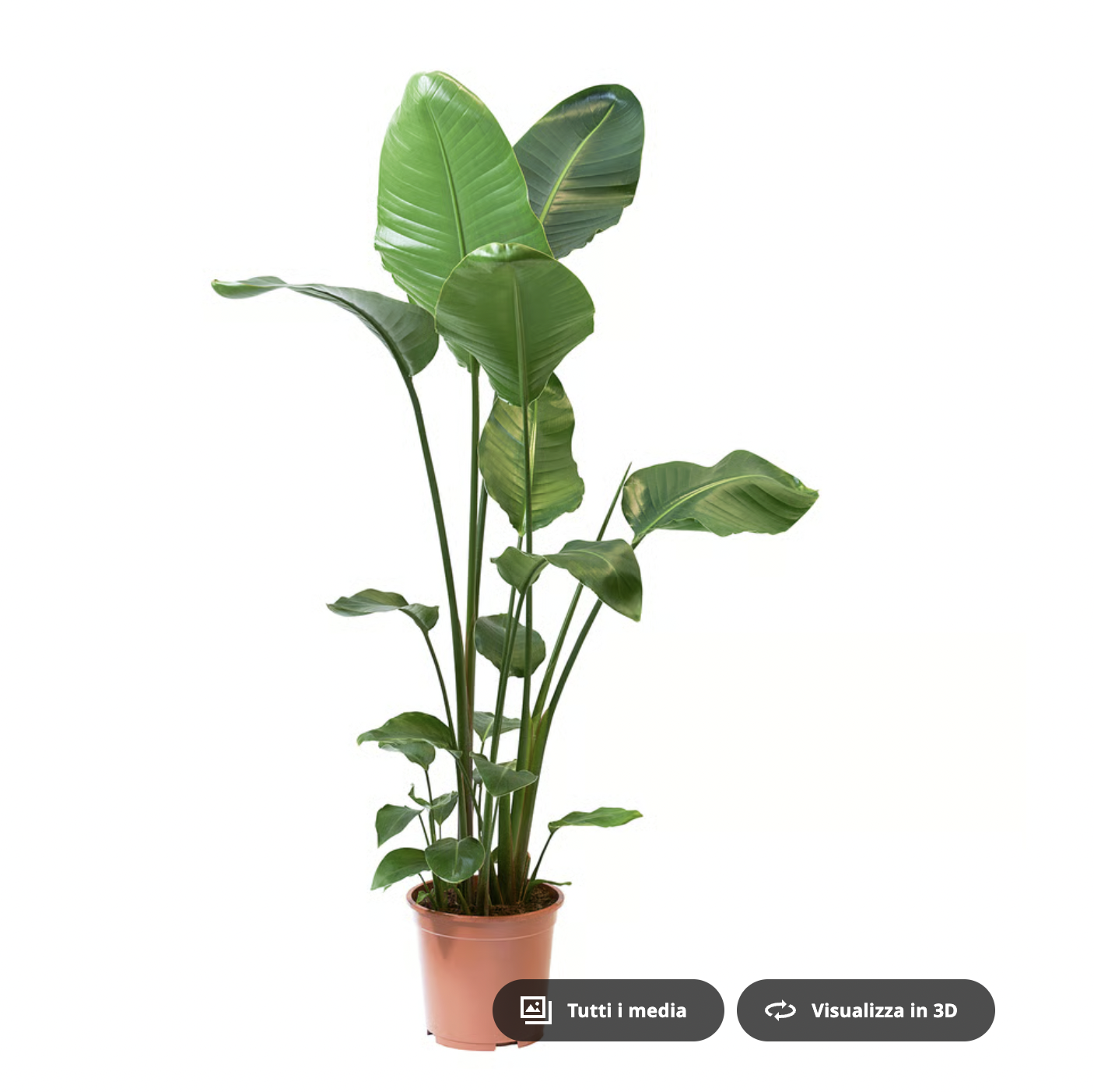 Screenshot 2025-12-20 alle 21.38.49.png