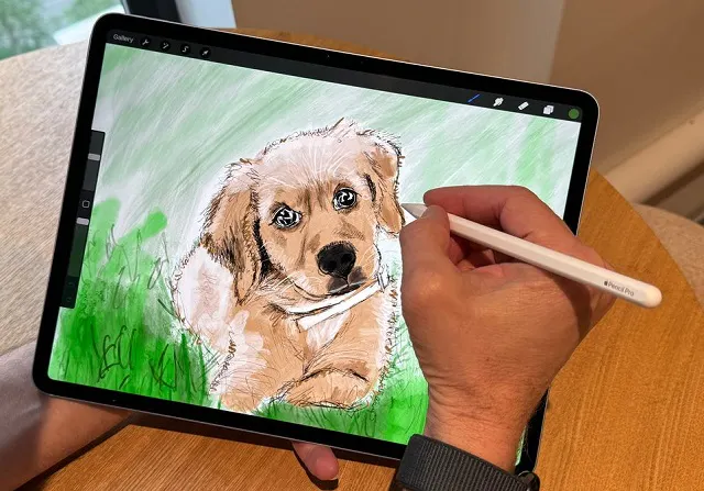 13-inch-ipad-air-8-for-drawing.jpg
