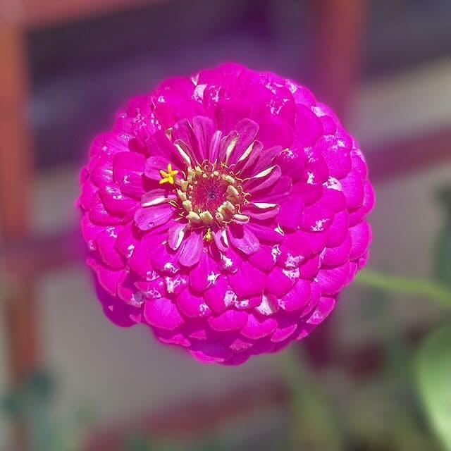 IMG_2576.jpeg