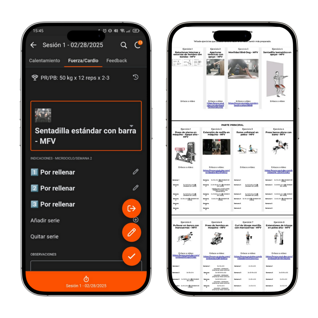 Plan DESPEGA - Sin fondo.png