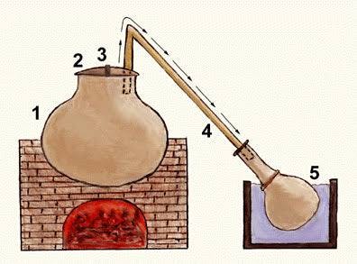 WhatsApp Image 2025-04-17 at 00.28.10_aa5e1167.jpg