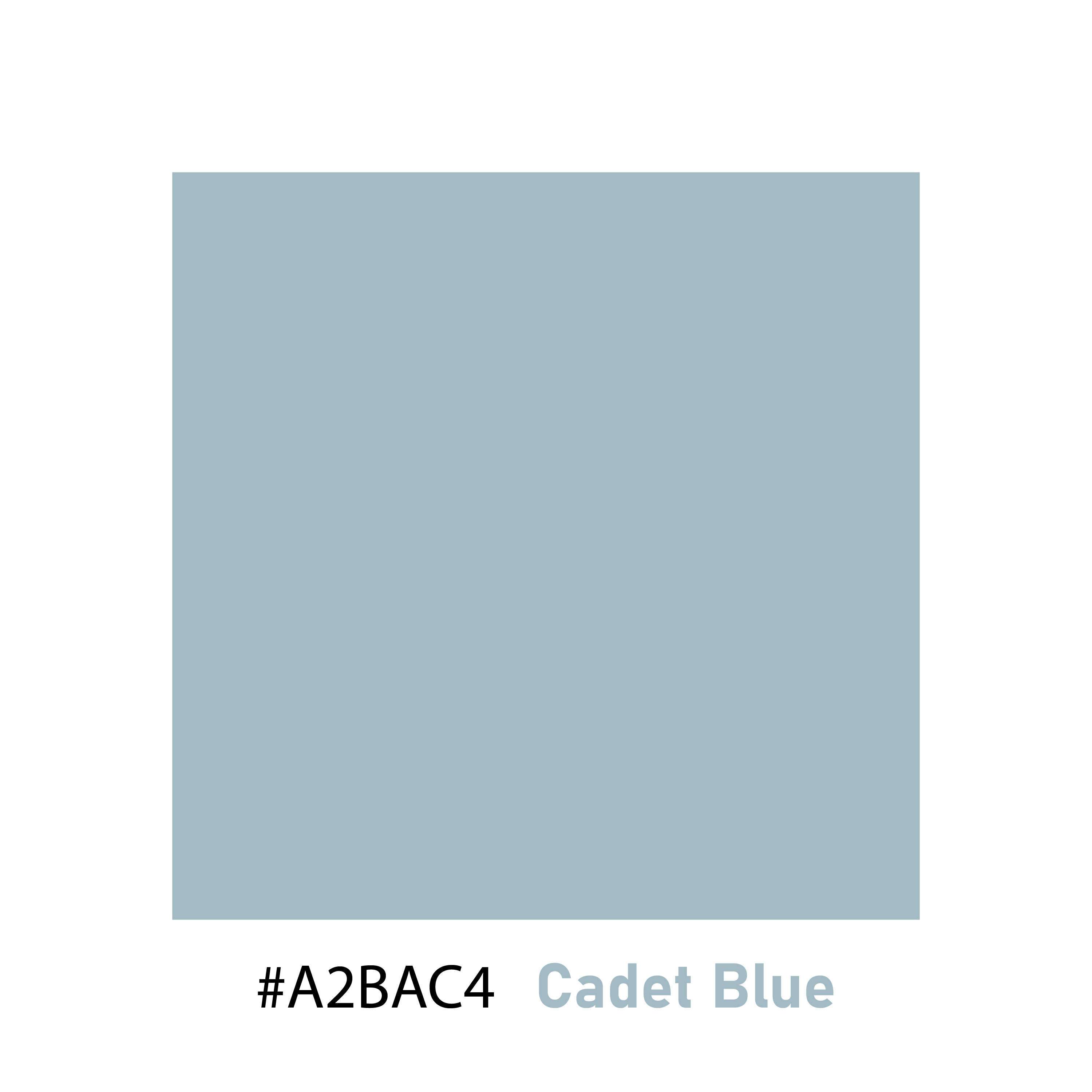 Artboard 2@3x.png