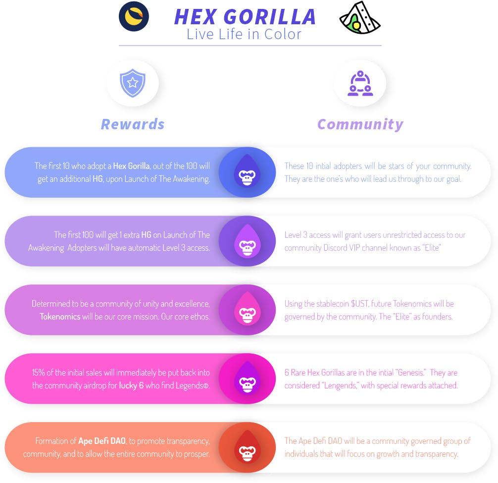 hex-gorilla-community.jpg