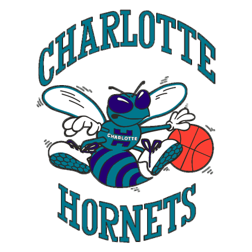 Charlotte Hornets.png