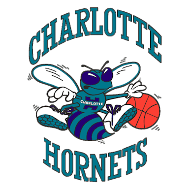 Charlotte Hornets.png