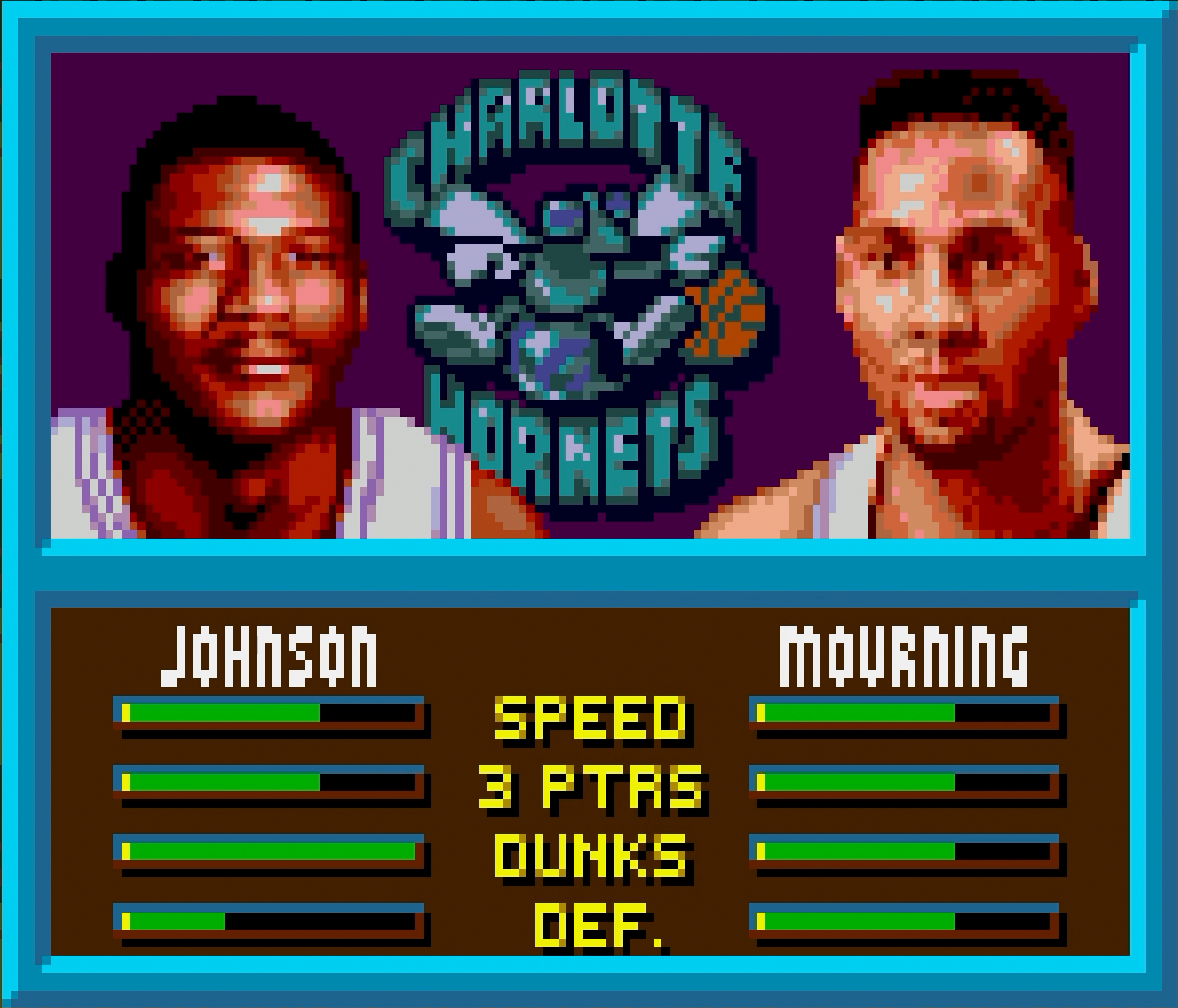 Charlotte Hornets.png