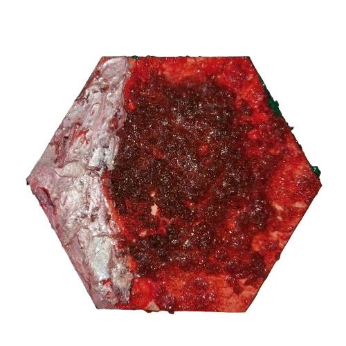 1000043154.png