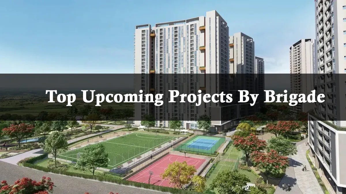 blog__1e46caee-d335-4359-9e26-c696233990c1 (1).jpg