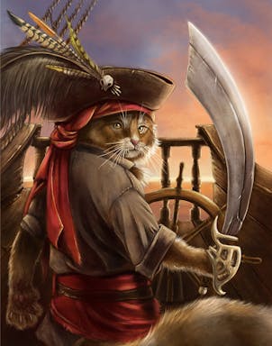 pirate_cat.jpeg