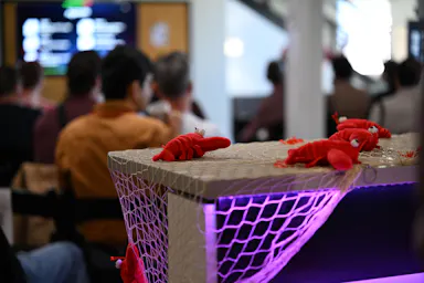 DSC_5926.jpg