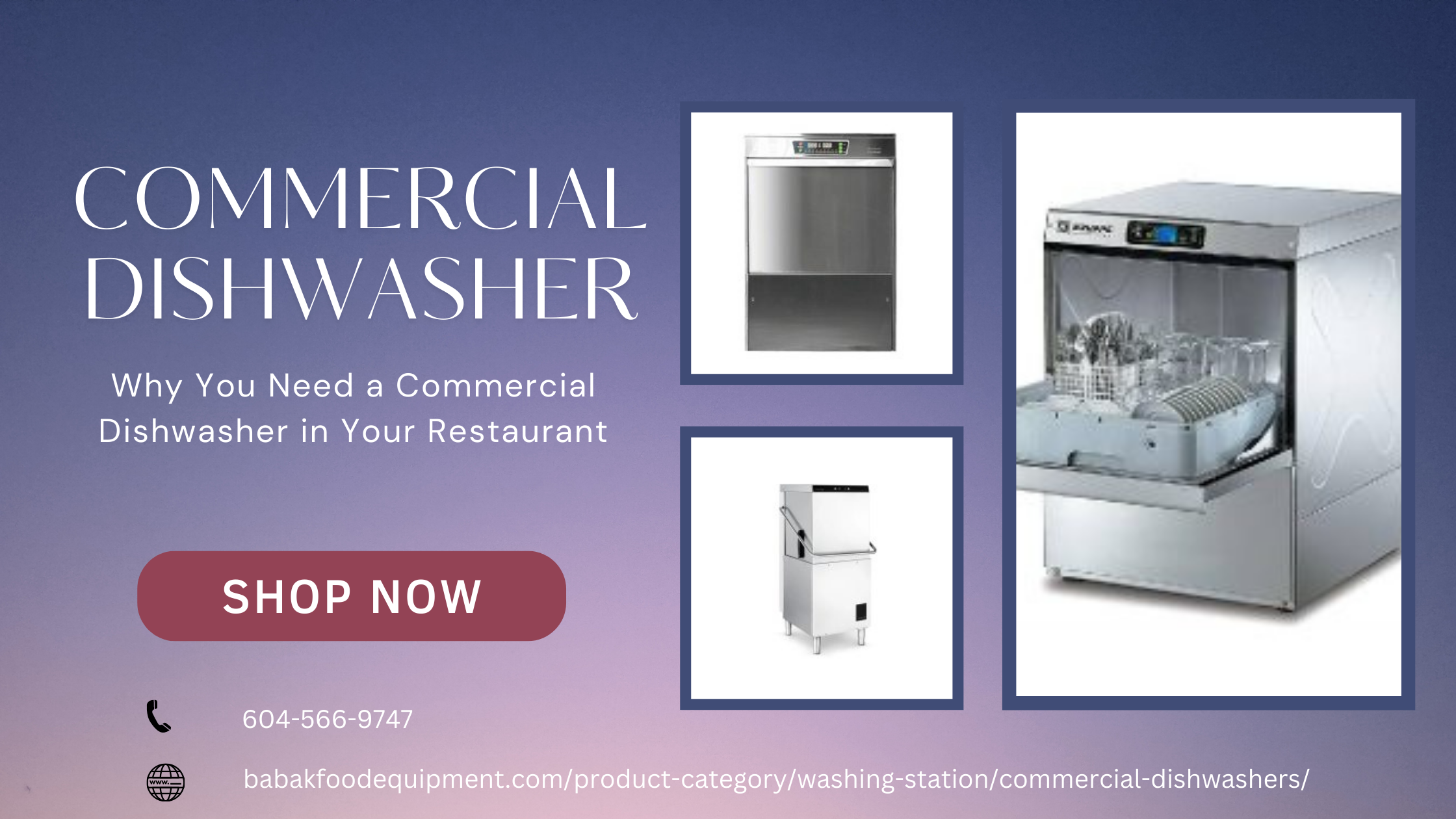 commercial dishwasher.png