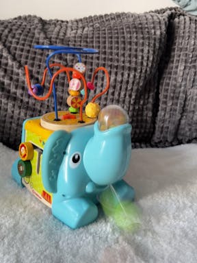 elephant5.JPG