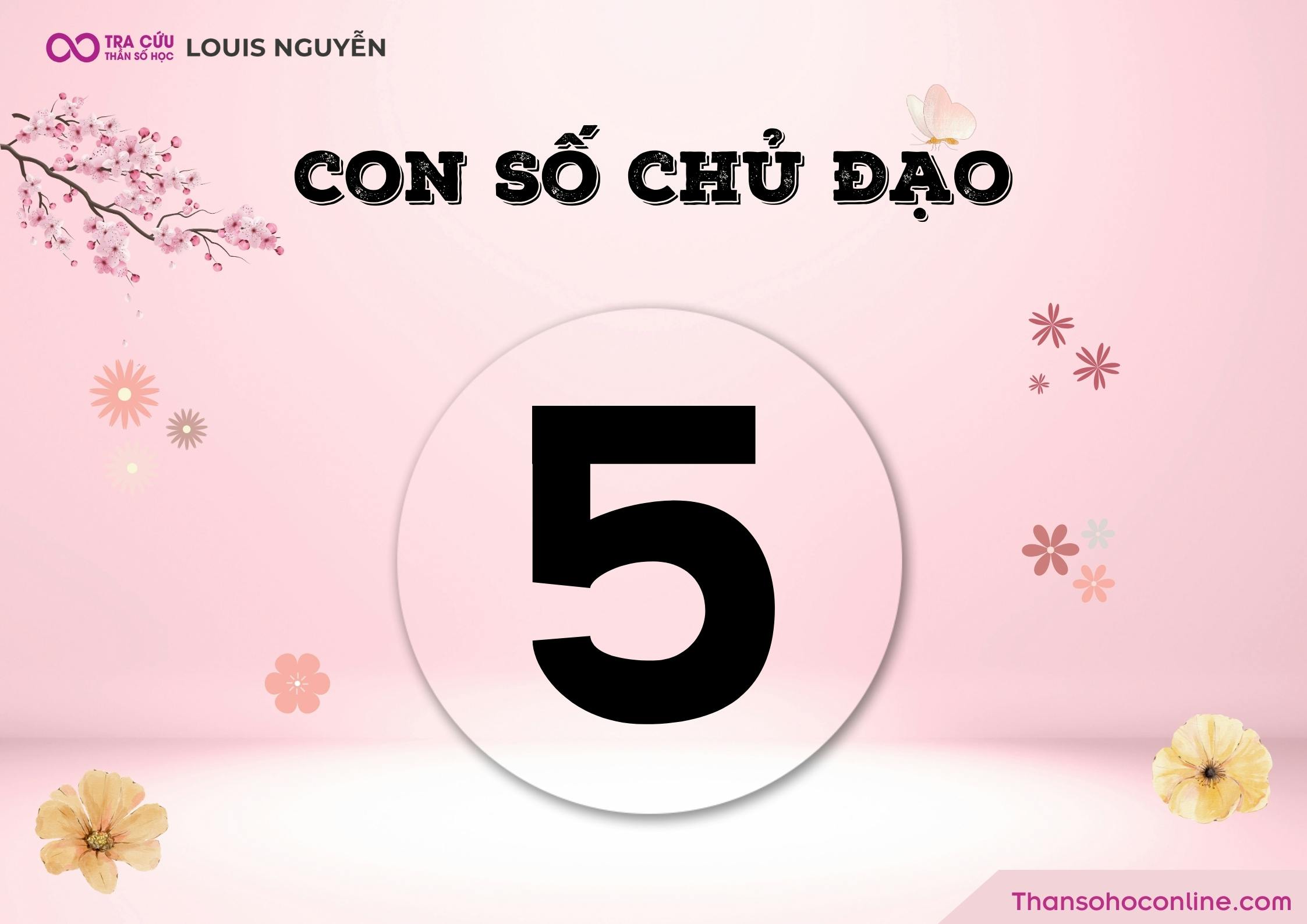 Chỉ số đường đời 5 có ý nghĩa gì?