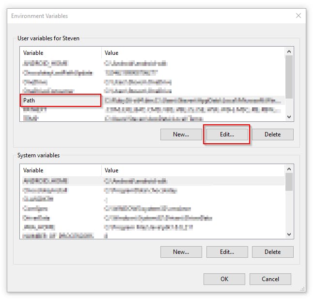 Environment Variables on Windows