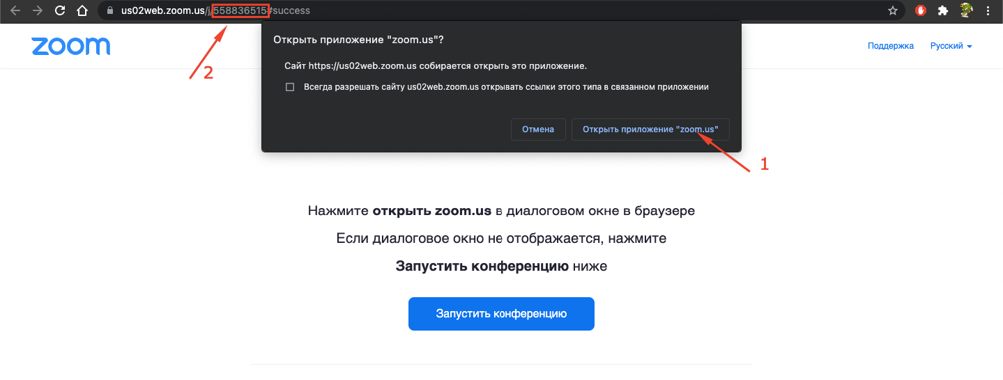 Без названия (6).png