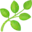 🌿